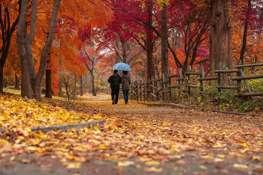 Terapia de choque para parejas. Pareja paseando por el parque en otoño